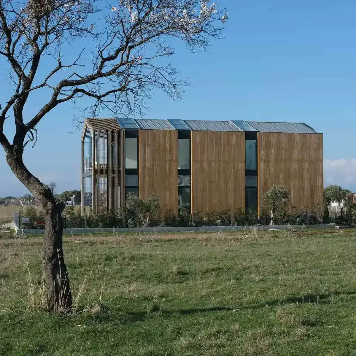 Çeşme Koza Evi - Galeri 4